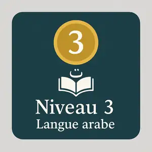 niveau3 300 q60